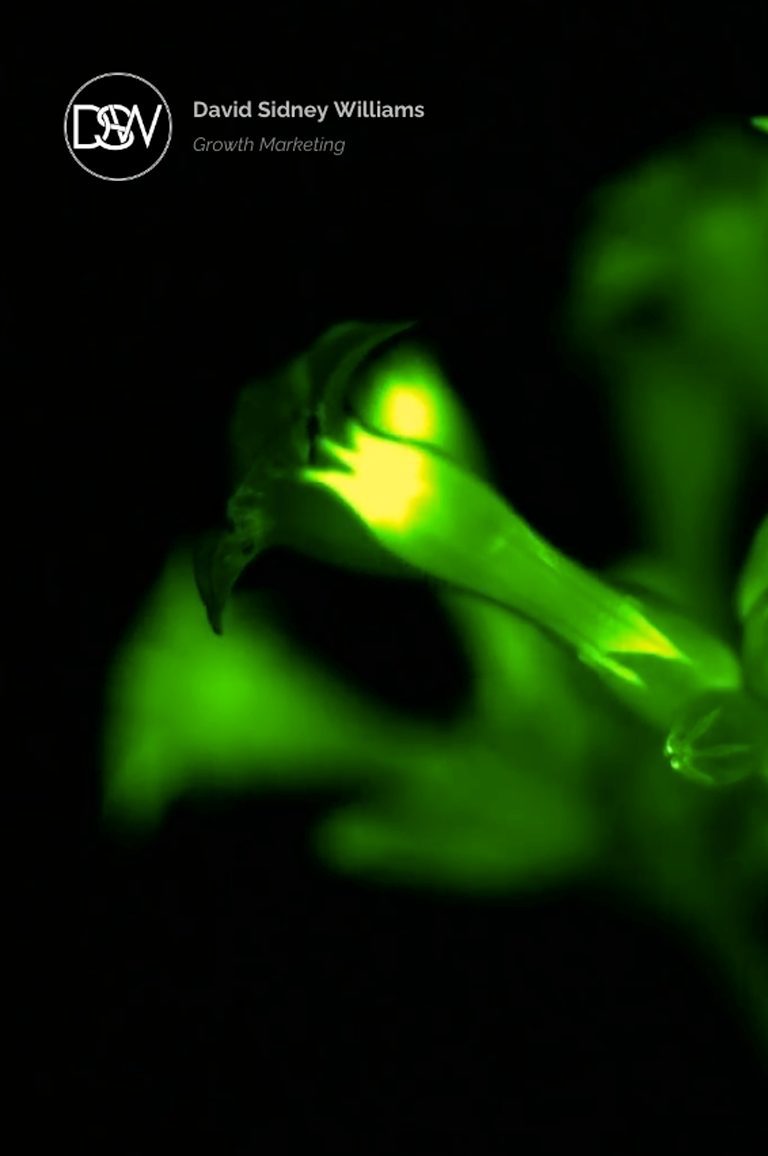 Broadsword Communications LLC Growth Marketing Philosophy